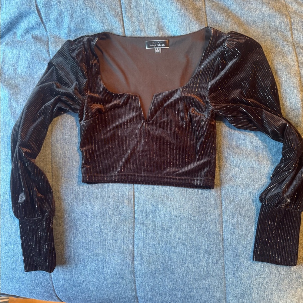 Blue Blush Soft Velour Metallic Stripe Crop Long Sleeve Blouse